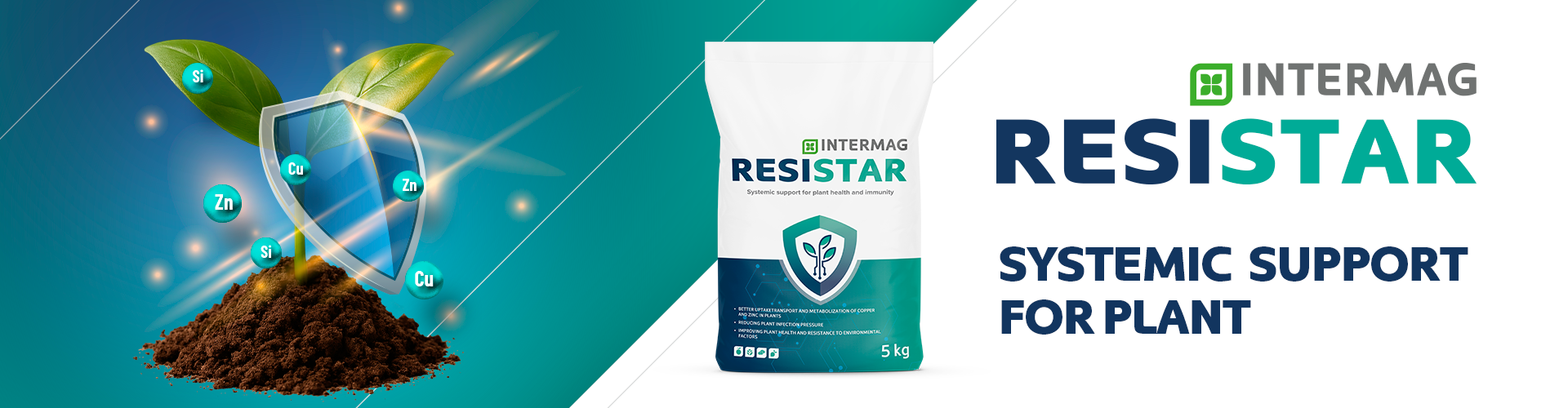 INTERMAG RESISTAR