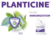 Planticine EN